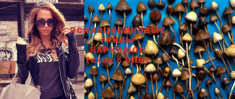 Псилоцибиновые грибы MAGIC MUSHROOMS  Щёлково 